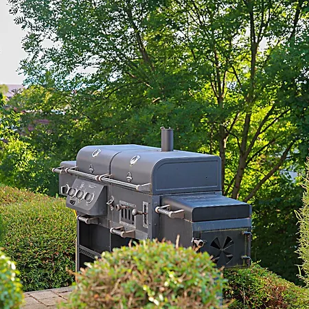 Shiva, Quelle Der Erholung